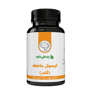 کپسول حافظه (کُندُر)